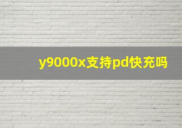 y9000x支持pd快充吗