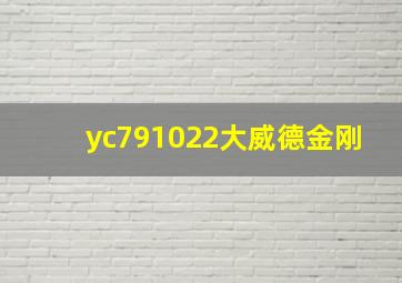 yc791022大威德金刚