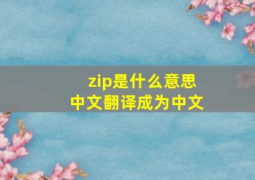 zip是什么意思中文翻译成为中文