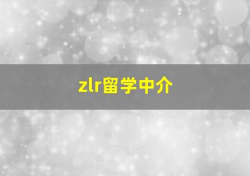 zlr留学中介