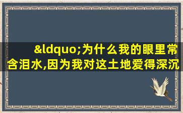 “为什么我的眼里常含泪水,因为我对这土地爱得深沉”