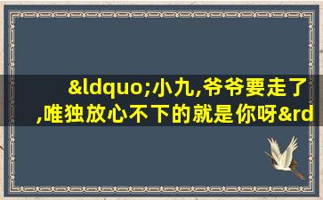 “小九,爷爷要走了,唯独放心不下的就是你呀”