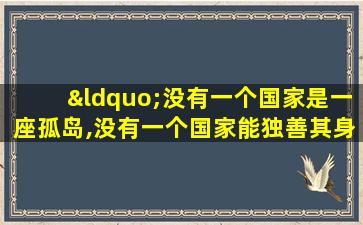 “没有一个国家是一座孤岛,没有一个国家能独善其身”