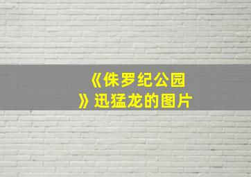 《侏罗纪公园》迅猛龙的图片