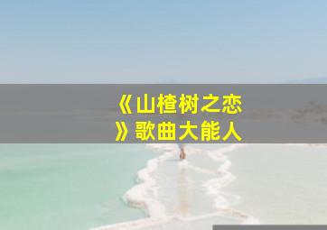 《山楂树之恋》歌曲大能人