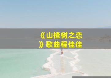 《山楂树之恋》歌曲程佳佳