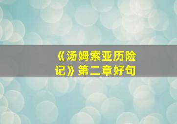 《汤姆索亚历险记》第二章好句