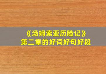 《汤姆索亚历险记》第二章的好词好句好段