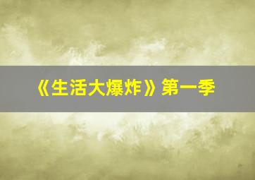 《生活大爆炸》第一季