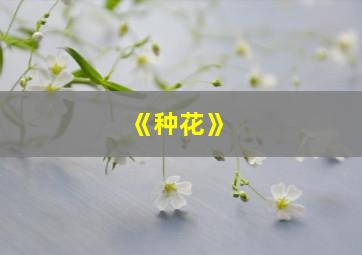 《种花》