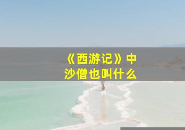 《西游记》中沙僧也叫什么