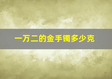 一万二的金手镯多少克