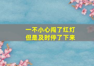 一不小心闯了红灯但是及时停了下来