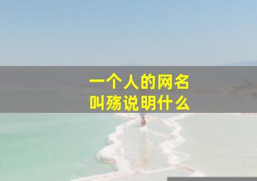 一个人的网名叫殇说明什么