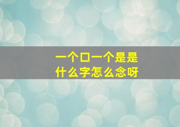 一个口一个是是什么字怎么念呀