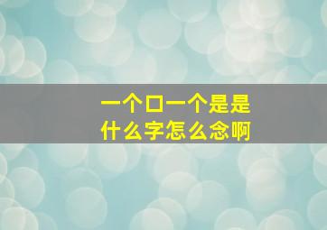 一个口一个是是什么字怎么念啊