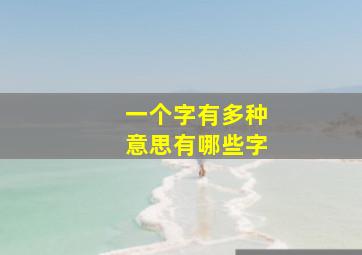 一个字有多种意思有哪些字