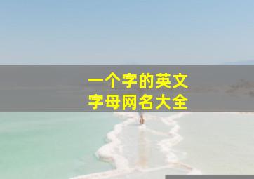 一个字的英文字母网名大全