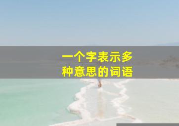 一个字表示多种意思的词语