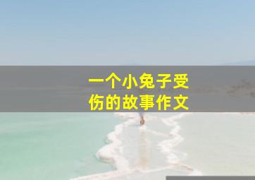 一个小兔子受伤的故事作文