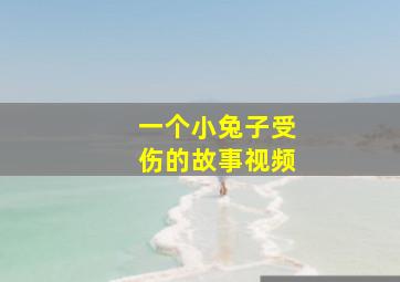 一个小兔子受伤的故事视频