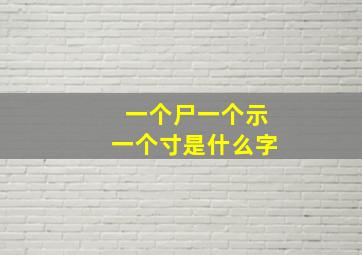 一个尸一个示一个寸是什么字