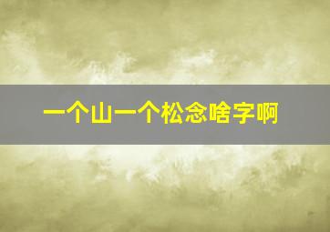 一个山一个松念啥字啊