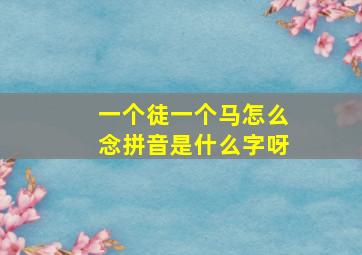 一个徒一个马怎么念拼音是什么字呀