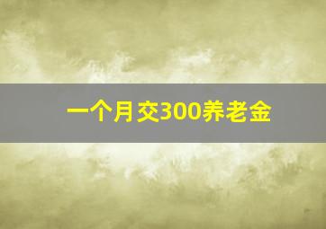 一个月交300养老金