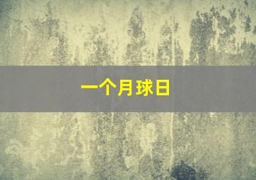 一个月球日