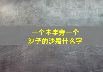 一个木字旁一个沙子的沙是什么字