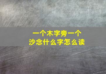 一个木字旁一个沙念什么字怎么读