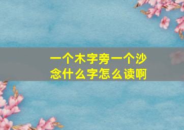 一个木字旁一个沙念什么字怎么读啊