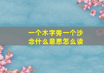 一个木字旁一个沙念什么意思怎么读