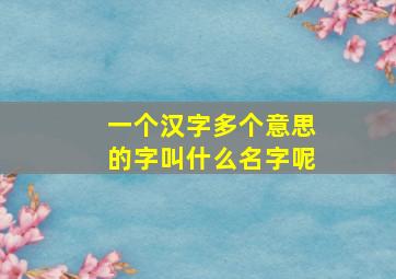 一个汉字多个意思的字叫什么名字呢