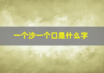 一个沙一个口是什么字