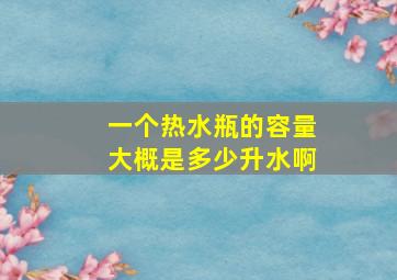 一个热水瓶的容量大概是多少升水啊