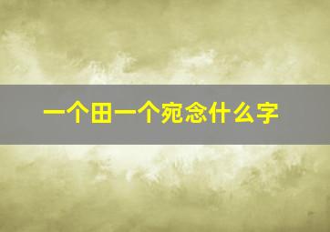 一个田一个宛念什么字