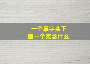 一个草字头下面一个宛念什么