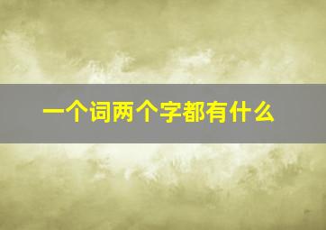 一个词两个字都有什么