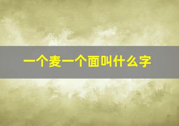 一个麦一个面叫什么字