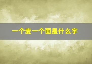 一个麦一个面是什么字