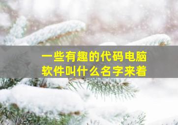 一些有趣的代码电脑软件叫什么名字来着