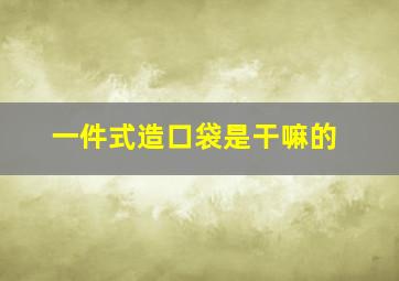 一件式造口袋是干嘛的