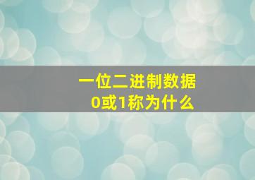 一位二进制数据0或1称为什么