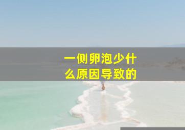 一侧卵泡少什么原因导致的