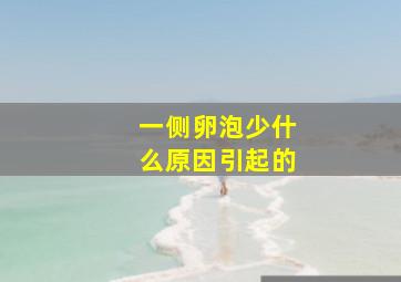 一侧卵泡少什么原因引起的