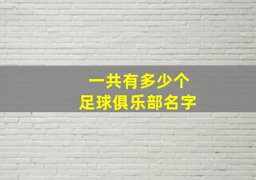 一共有多少个足球俱乐部名字