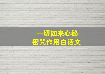 一切如来心秘密咒作用白话文