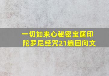 一切如来心秘密宝箧印陀罗尼经咒21遍回向文